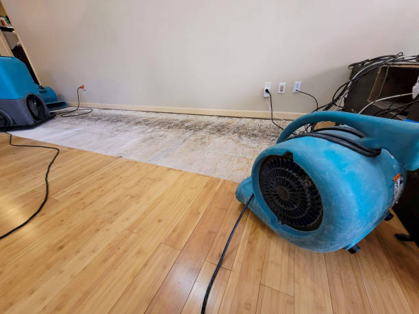 Reliable Basement Flood Cleanup contractor in Clarksburg, MD by Hirex Water Damage