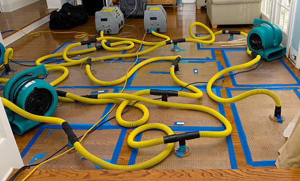 Professional Basement Flood Cleanup technician working in Clarksburg, MD